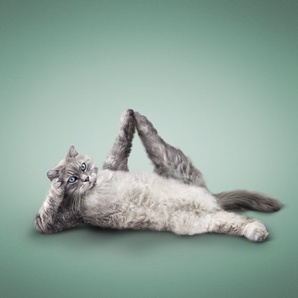 sleeping vishnu pose