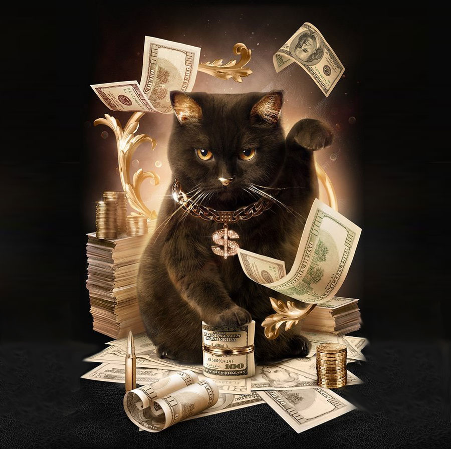 Коты и деньги: народные приметы и суеверия