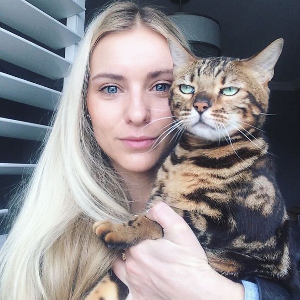 Топ-20 котов, которые всей душой ненавидят селфи