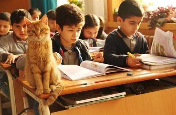 Рыжий Директор Третьего класса