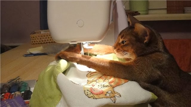 17 самых хозяйственных котов