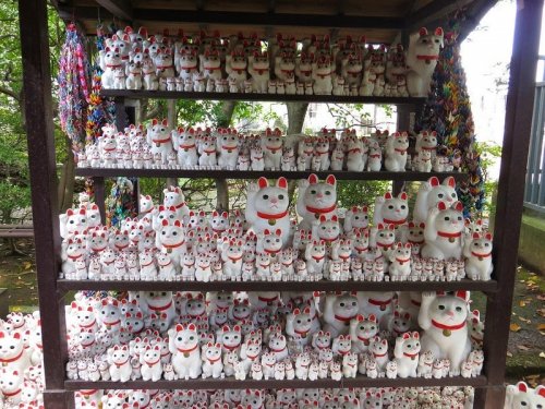 Легенда храма Готокудзи - храма манящих котов