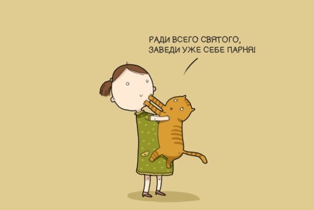 Доказательства того что коты правят этим бренным миром