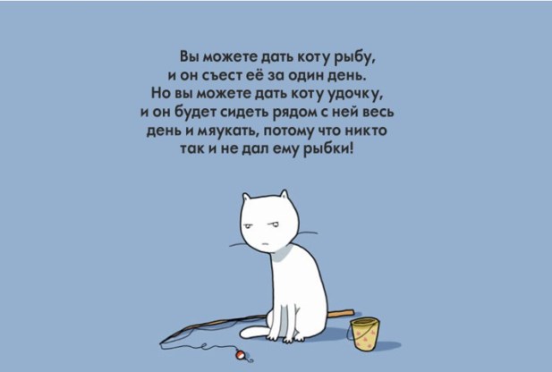 Доказательства того что коты правят этим бренным миром