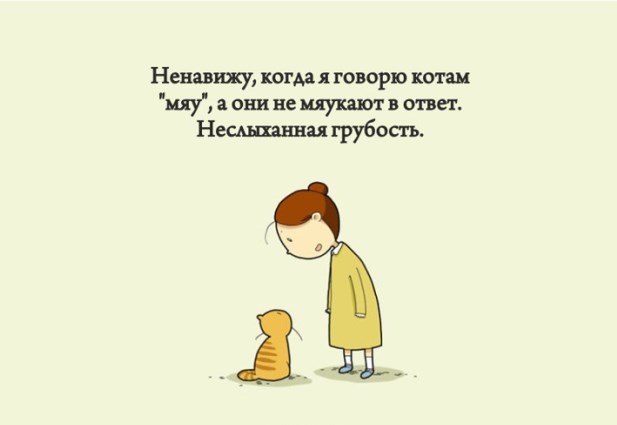 Доказательства того что коты правят этим бренным миром