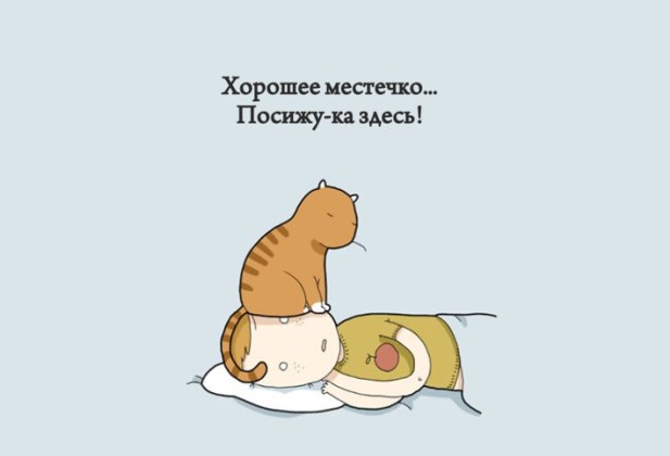 Доказательства того что коты правят этим бренным миром