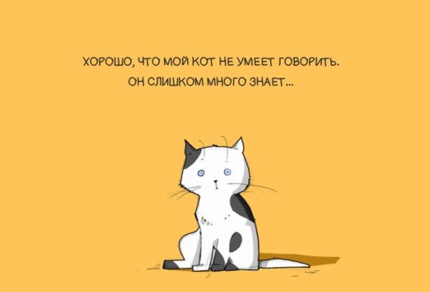 Доказательства того что коты правят этим бренным миром