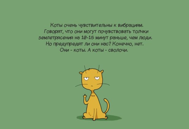 Доказательства того что коты правят этим бренным миром