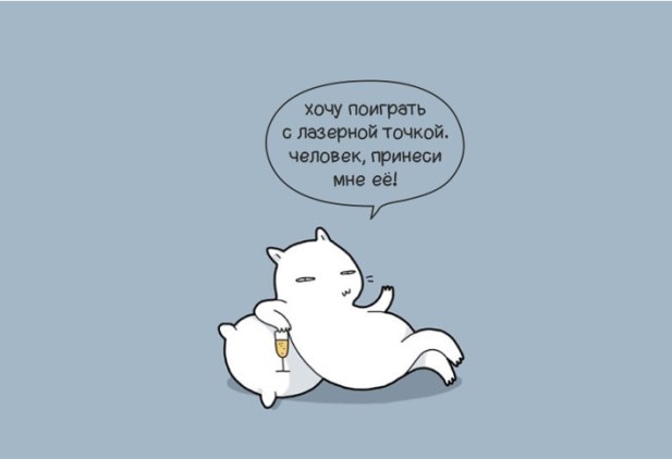 Доказательства того что коты правят этим бренным миром