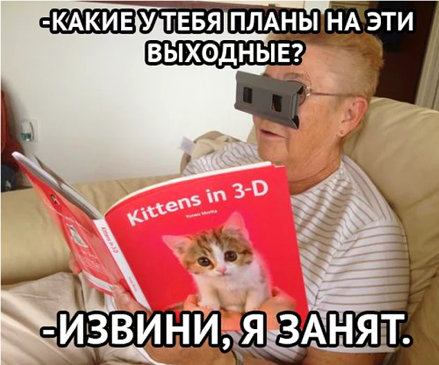 19 вещей, которые поймут все владельцы кошек и котов