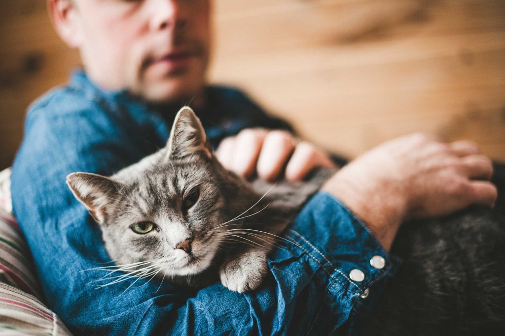 Полезные советы для кошек по уходу за человеком
