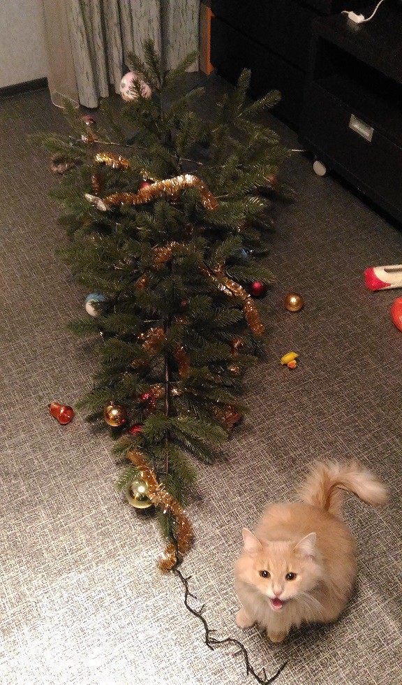 Коты и елки: на месте преступления. 21 фото