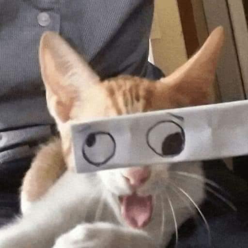 Карантин и котики