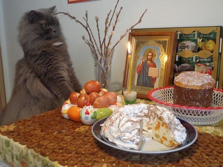 Котики и Пасха Как коты разговляются  куличам  и крашеным яйцами