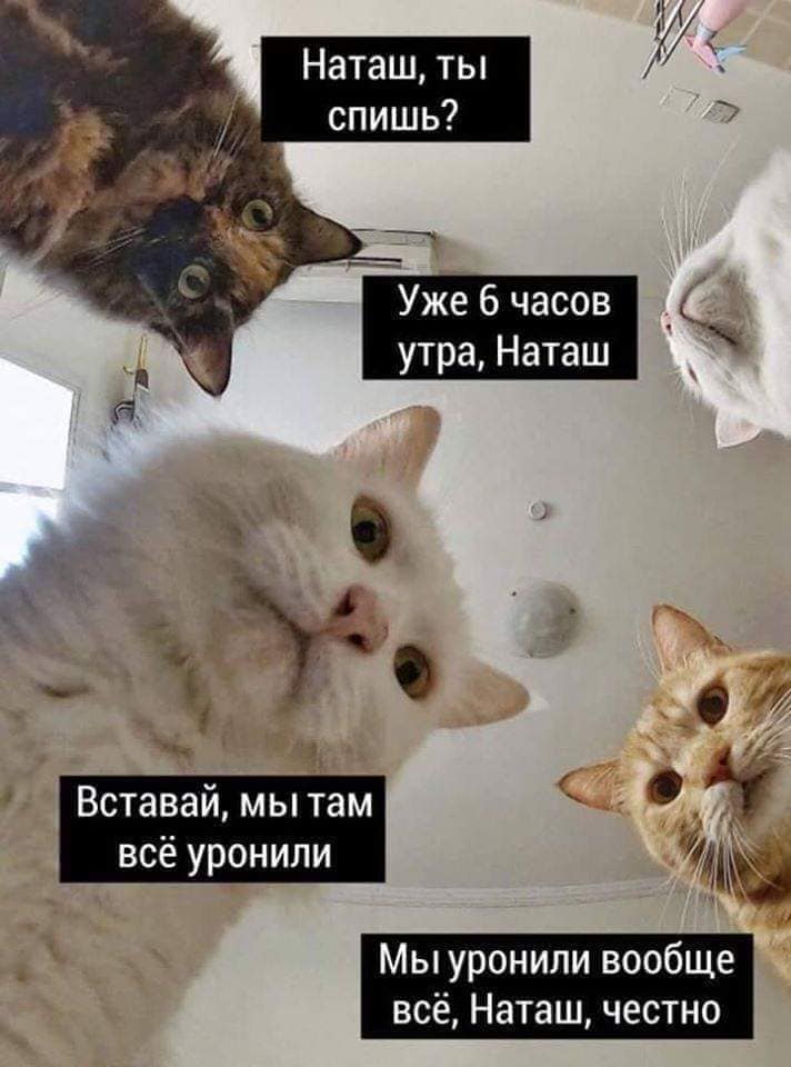 Наташ, ты спишь?