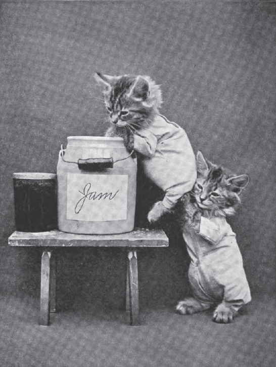 LOLCats: Смешные коты Гарри Уиттера