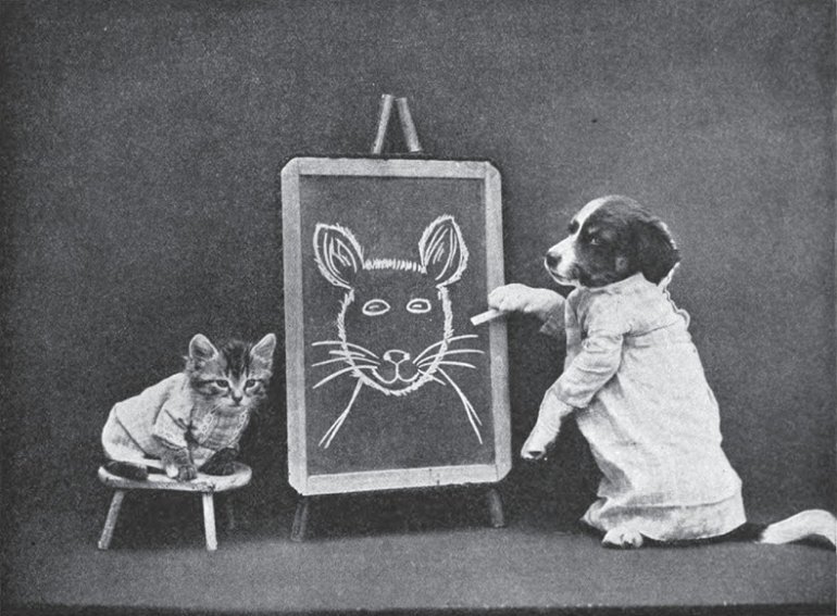 LOLCats: Смешные коты Гарри Уиттера