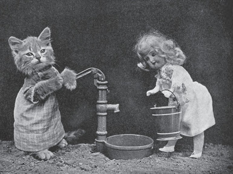 LOLCats: Смешные коты Гарри Уиттера