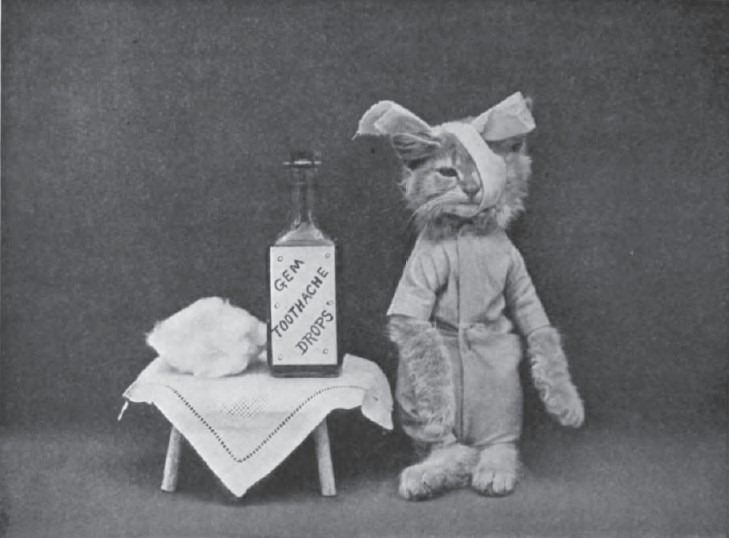 LOLCats: Смешные коты Гарри Уиттера