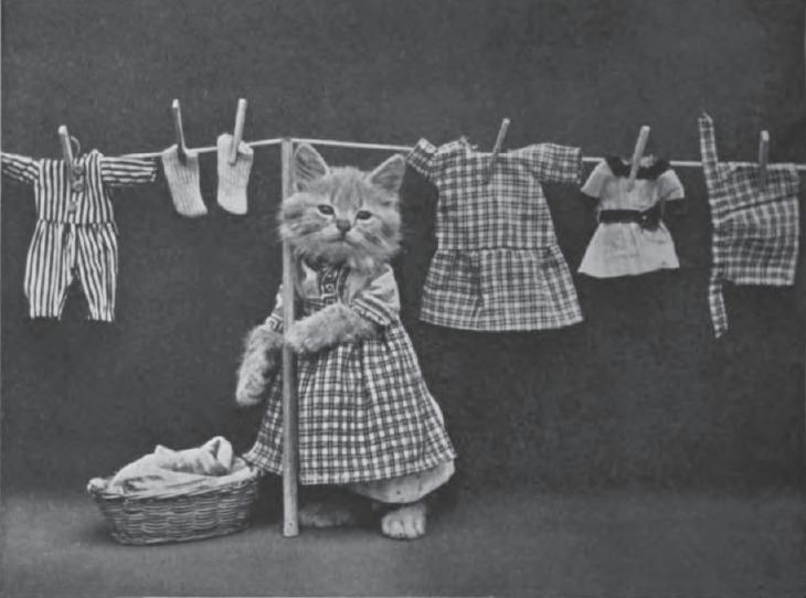 LOLCats: Смешные коты Гарри Уиттера