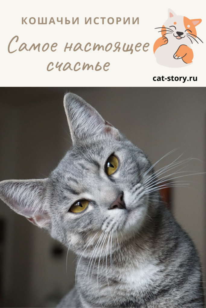 Самое настоящее счастье