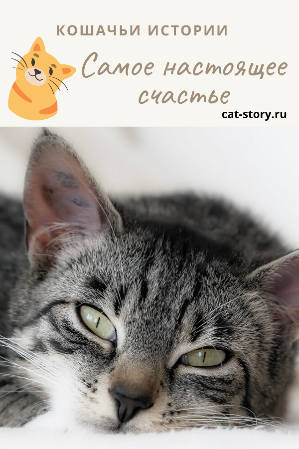 Самое настоящее счастье