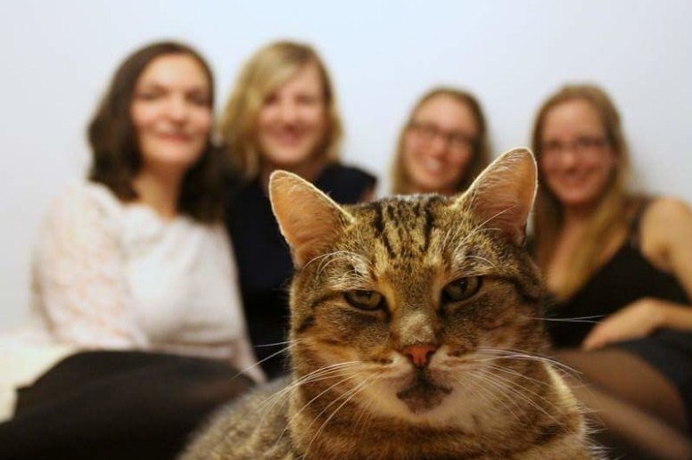 11 научных объяснений, почему мы живем на условиях кошек. А не наоборот