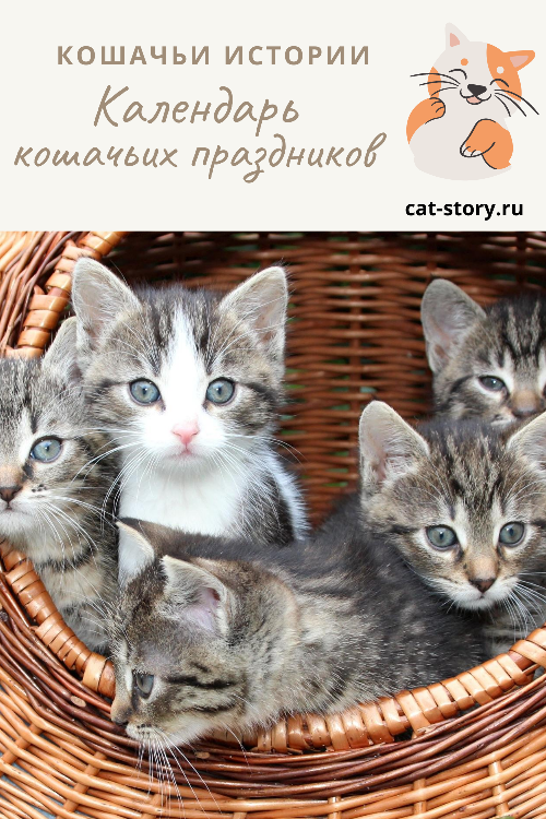 Календарь кошачьих праздников 
