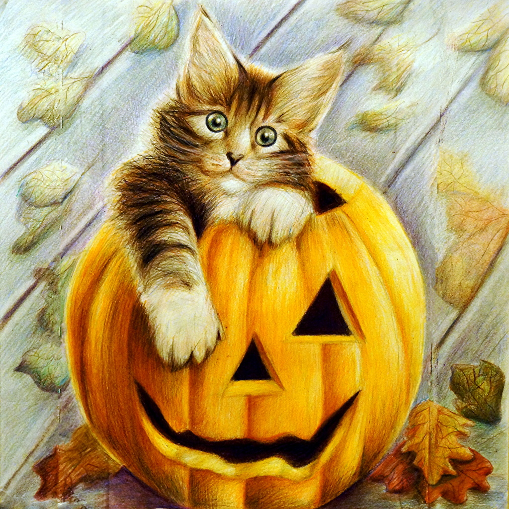 Кот и тыква арт