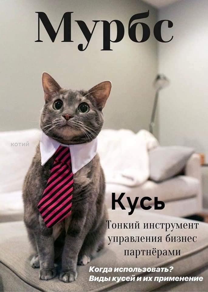 Кусьмополитен и Мурбс - свежие выпуски кошачьих журналов