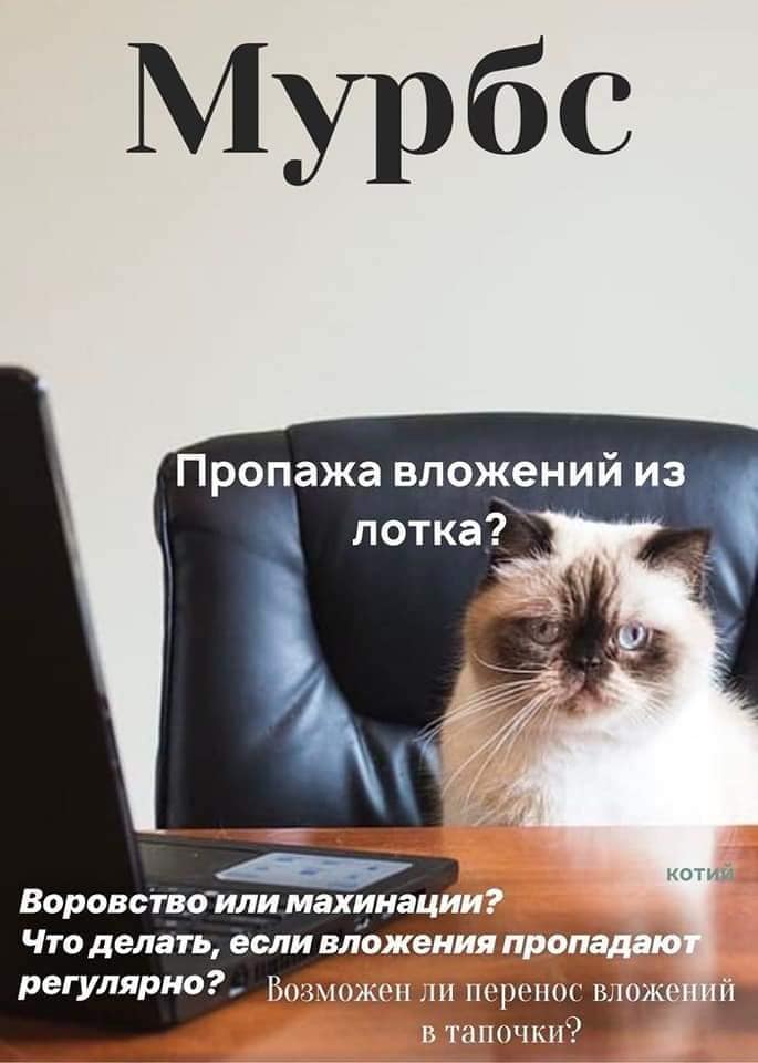 Кусьмополитен и Мурбс - свежие выпуски кошачьих журналов