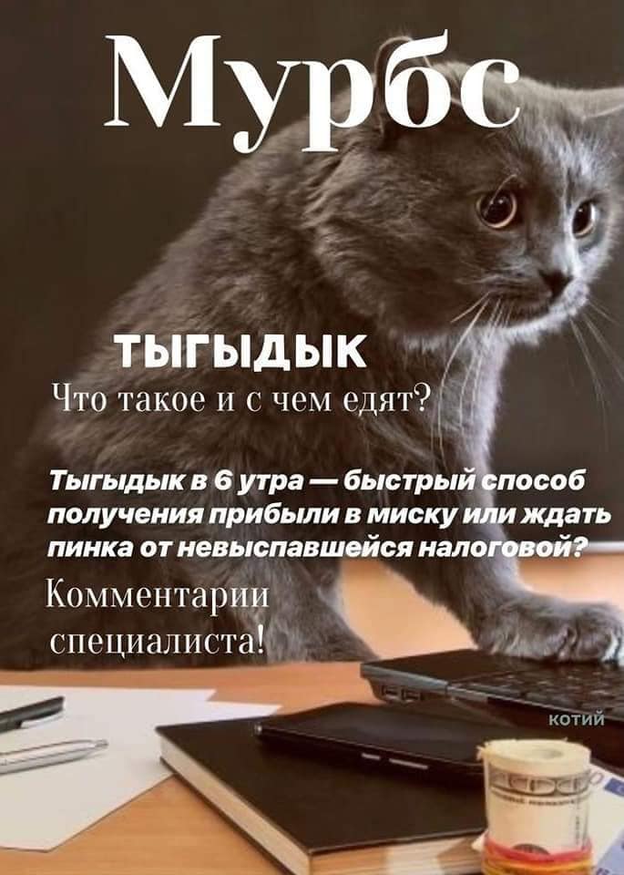 Кусьмополитен и Мурбс - свежие выпуски кошачьих журналов