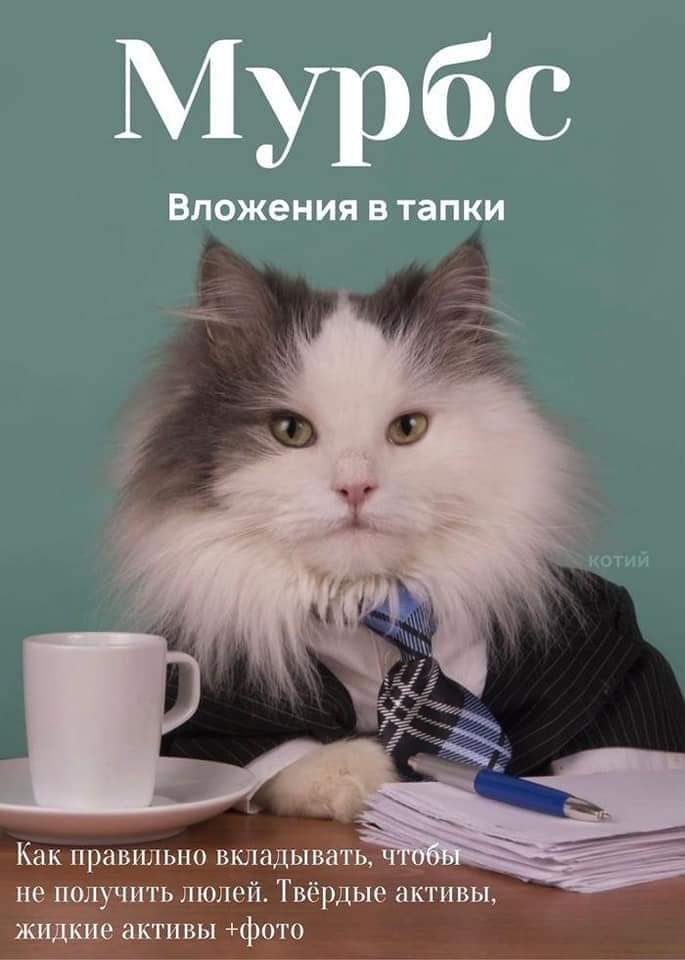 Кусьмополитен и Мурбс - свежие выпуски кошачьих журналов