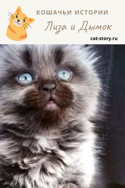 Лиза и Дымок