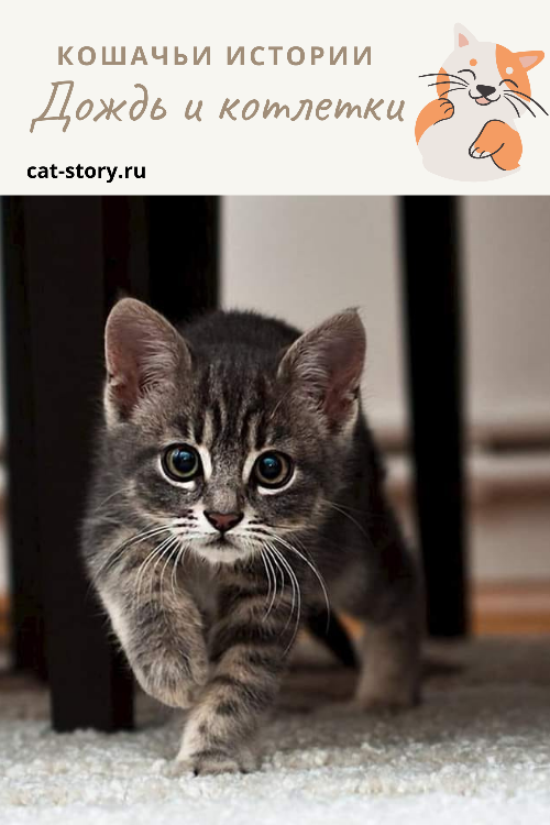 Дождь и котлетки