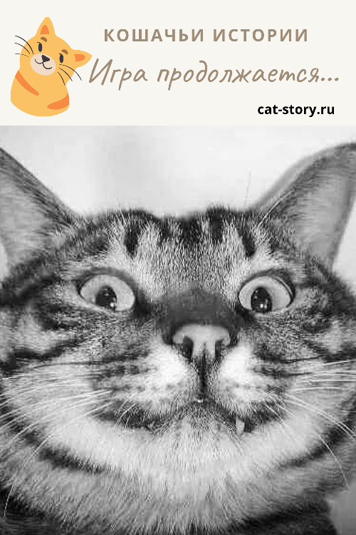 Игра продолжается...