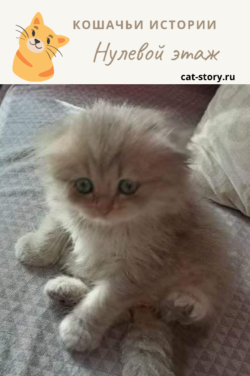 Нулевой этаж