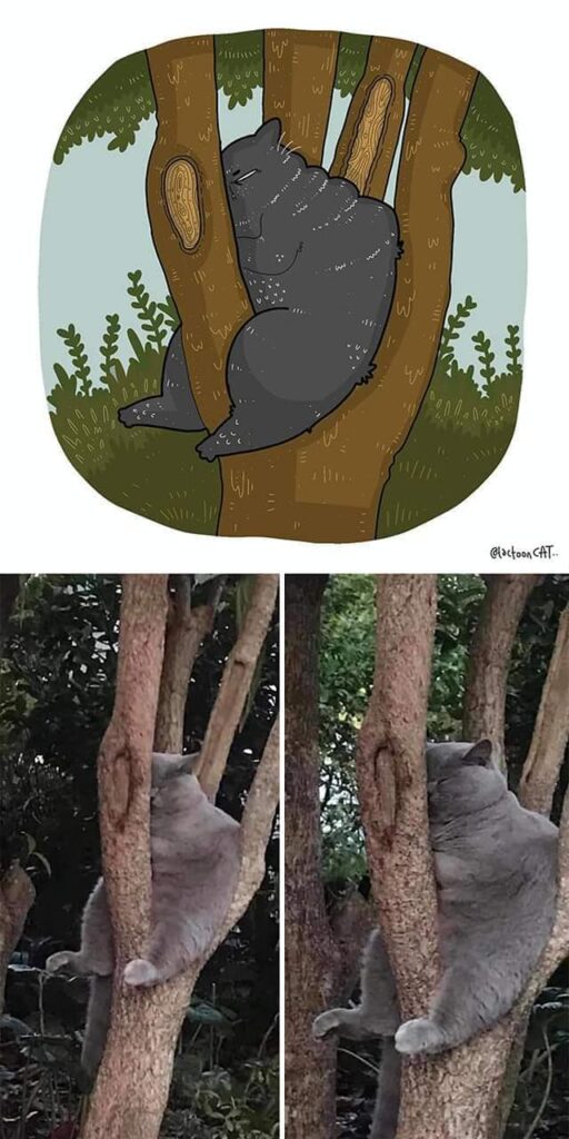 Мультфильмы vs Реальное фото