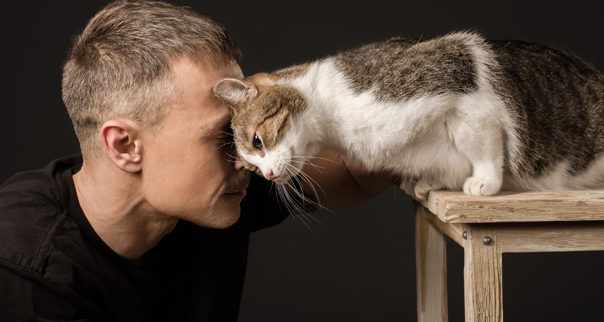 Подарок взрослому мужчине с котом