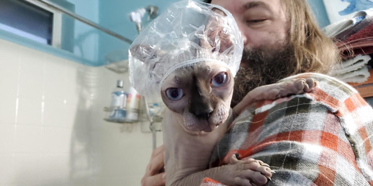 Брутальный мужик и песня для котики