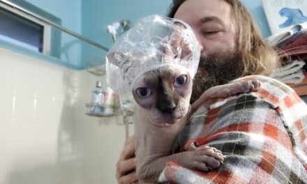 Брутальный мужик и песня для котики