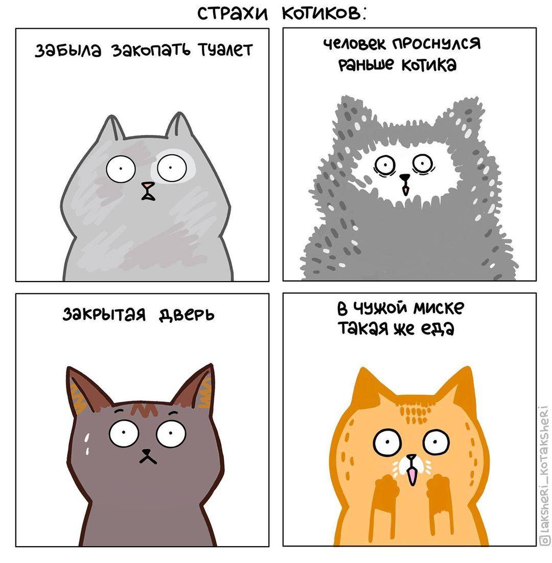 Нарисовал кота поставили 2