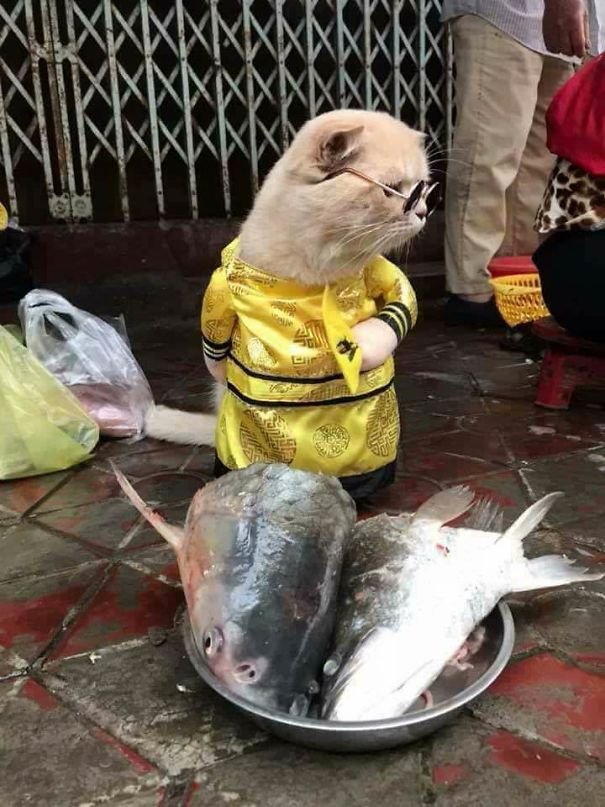 Скандал на рынке