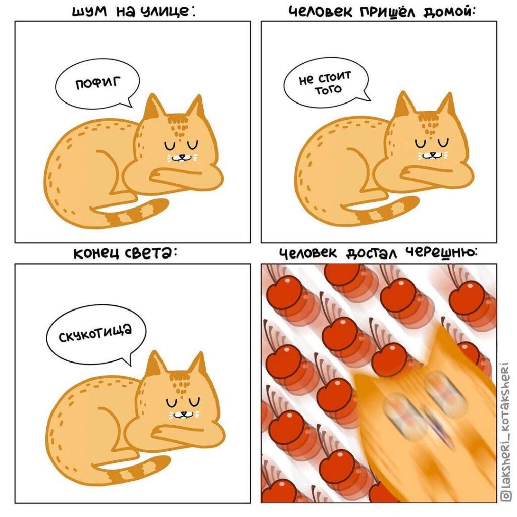 Комиксы про котиков - кошатники поймут