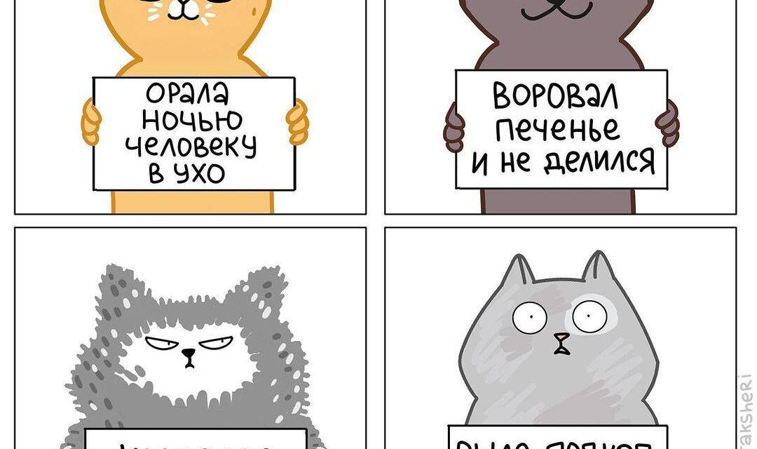 Кошки тоже празднуют Хэллоуин