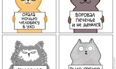 Кошки тоже празднуют Хэллоуин