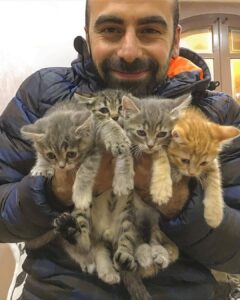 25 фото особая связь мужчин и котиков