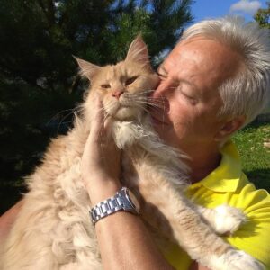 25 фото особая связь мужчин и котиков