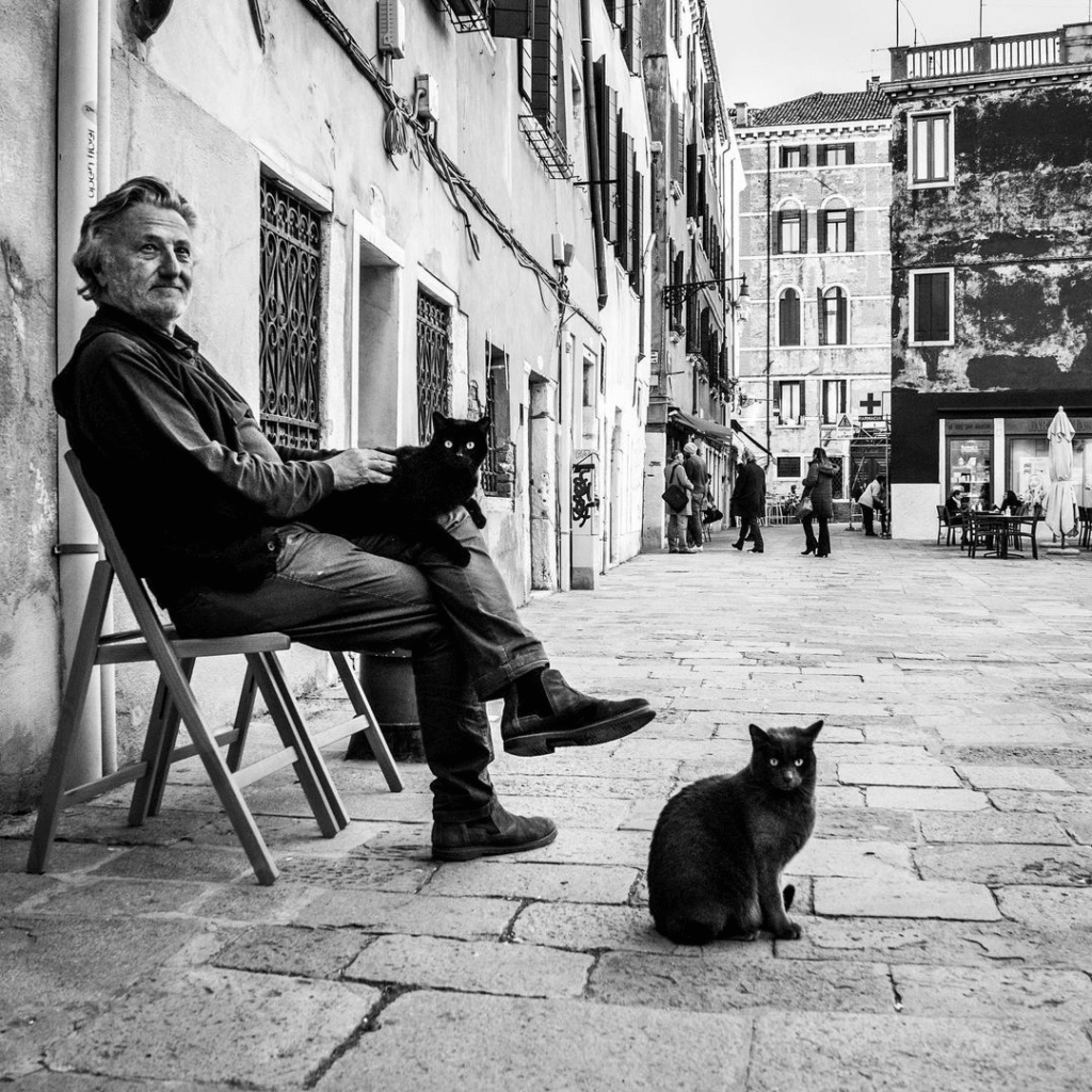 Тайная жизнь венецианских котиков