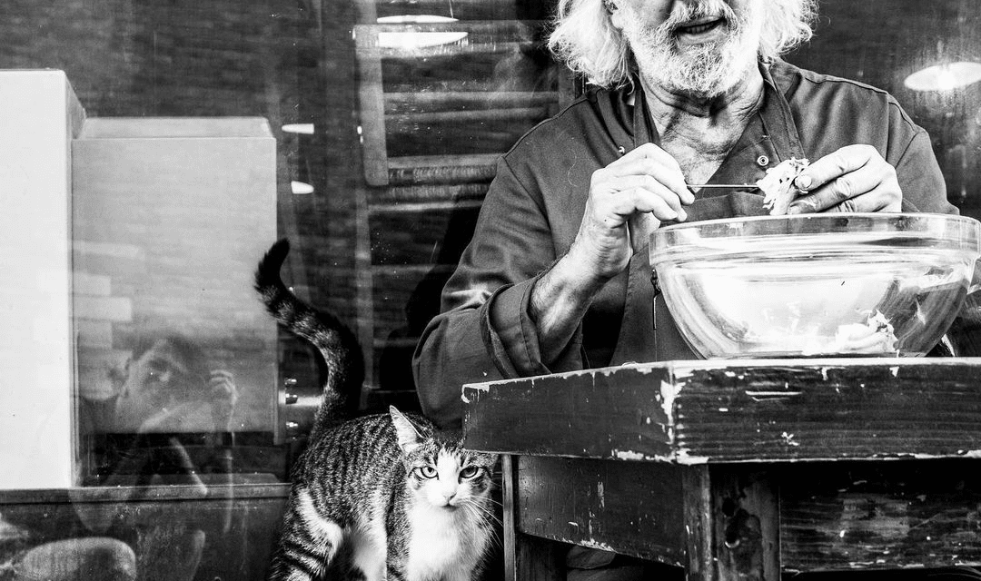 Как привести себя в порядок. Кото-фото